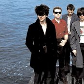Echo & The Bunnymen - List pictures