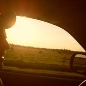 Moor Hound - List pictures