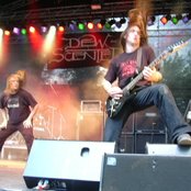 Dew-scented - List pictures