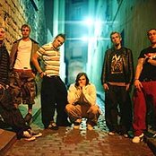 Pleymo - List pictures