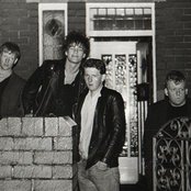 The Membranes - List pictures