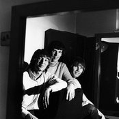 Walker Brothers - List pictures