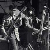 Tav Falco's Panther Burns - List pictures