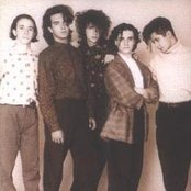 Fobia - List pictures