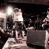 Sleazy Lizards - List pictures