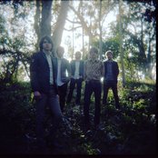 The Young Veins - List pictures