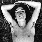 David Cassidy - List pictures