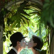 The Dresden Dolls - List pictures