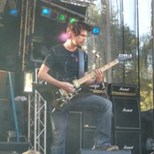 Vintersorg - List pictures