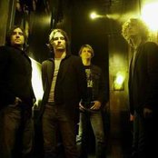 Damnwells - List pictures