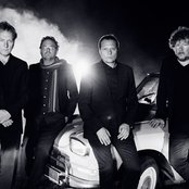 Weeping Willows - List pictures