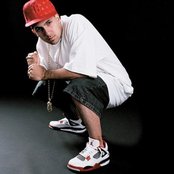 Termanology - List pictures