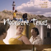 Little Auk - List pictures