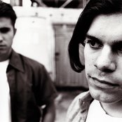 Plankeye - List pictures