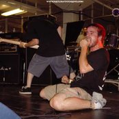 Dead To Fall - List pictures