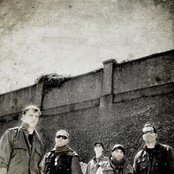 Born From Pain - List pictures