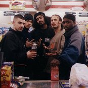 Arsonists - List pictures