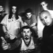 Insolence - List pictures