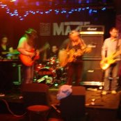 The Amber Herd - List pictures