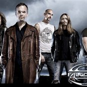 Falconer - List pictures