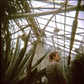 D.m. Stith - List pictures