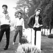 Crisis - List pictures