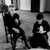 Virgin Prunes - List pictures