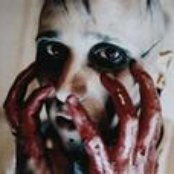 Rabia Sorda - List pictures