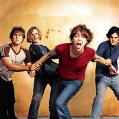 Vines - List pictures