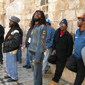 The Gladiators - List pictures