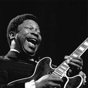 B.b. King - List pictures