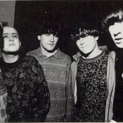 Inspiral Carpets - List pictures