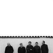 The Faunts - List pictures