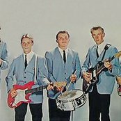 The Surfaris - List pictures