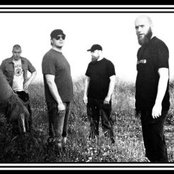 Kaihoro - List pictures