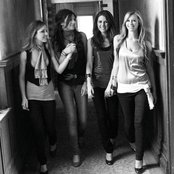 Raven - List pictures