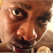 Elephant Man - List pictures