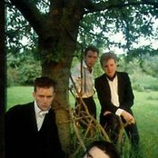 And Also The Trees - List pictures