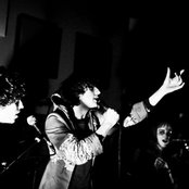 Foxygen - List pictures