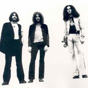 Toad - List pictures