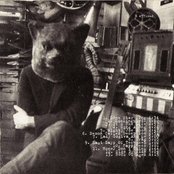 Grant Lee Buffalo - List pictures