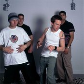 Pezz - List pictures