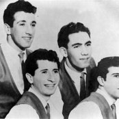 The Knockouts - List pictures