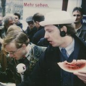 Die Doofen - List pictures