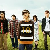 Aqua Timez - List pictures