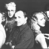 Go-betweens - List pictures