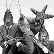 Residents - List pictures