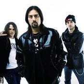 Dr. Sin - List pictures