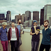 Birds Of Tokyo - List pictures