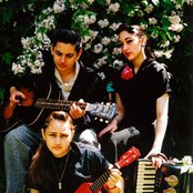 Kitty, Daisy And Lewis - List pictures